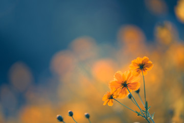 永川野生动物园一日游攻略