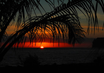 关于爱情中的失望和难受的说说 失望攒够了我自然会走