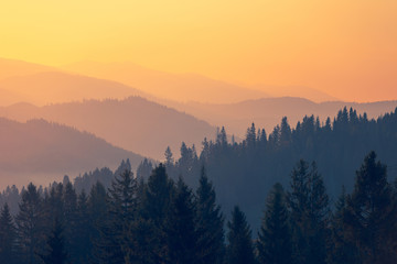小吃店美人鱼安静书教程