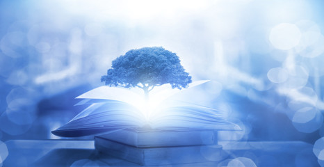 馒头在上供时碎了有什么说法吗？