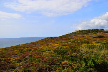 植物角观察记录表如何挂起来