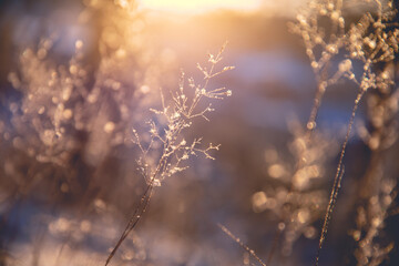 赵一曼的事迹简洁语言