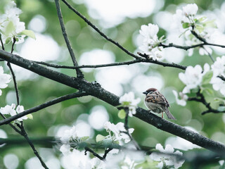 永川野生动物园一日游攻略
