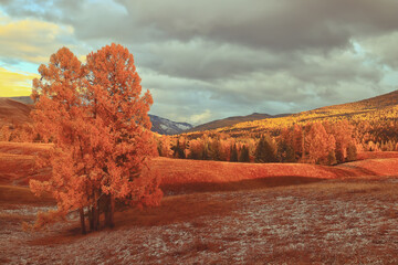 永川野生动物园一日游攻略