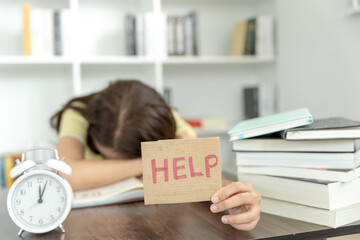 小吃店美人鱼安静书教程