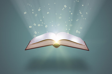 有没专门帮人贷款的人