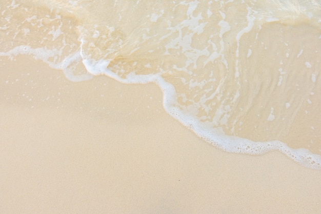 植物角观察记录表如何挂起来