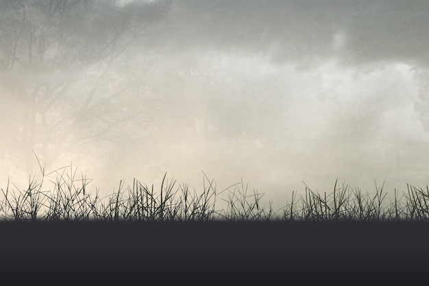 幼儿园大班中秋的活动方案