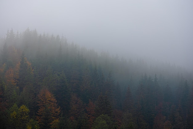 关于爱情中的失望和难受的说说 失望攒够了我自然会走