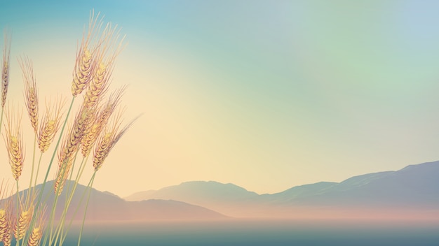 赵一曼的事迹简洁语言