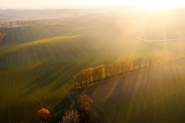 关于爱情中的失望和难受的说说 失望攒够了我自然会走