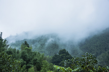 小吃店美人鱼安静书教程